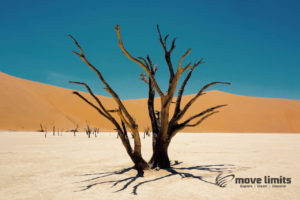 Im Sossusvlei in Namibia - Death Valley - Dead Vlei - movelimits.de